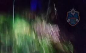 Спасатели и волонтеры искали двух женщин в лесу в Гатчинском округе