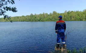 За неделю в Ленобласти спасатели 15 раз выезжали на помощь жителям