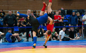 Ленинградские борцы стали третьими на Кубке Александра Невского