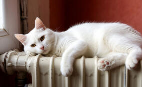 Ленобласть на 100% готова к осенне-зимнему периоду