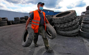 В Петербурге за неделю собрали более 37 тонн опасных отходов