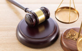 Пенсионеру из Выборга после вмешательства прокуратуры вернут украденные мошенниками деньги