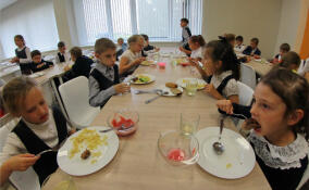 Ленобласть примет федеральный тур конкурса «Лучшая школьная столовая – 2025»