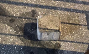 Пьяная девушка в Петербурге бросила кирпич в голову прохожего