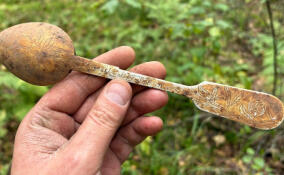 Останки 12 бойцов Красной Армии нашли в урочище под Киришами