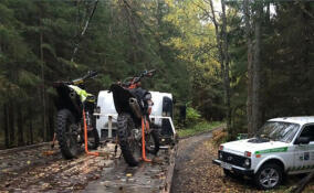 Инспекторы изъяли мотоциклы у нарушителей в природном парке «Токсовский»