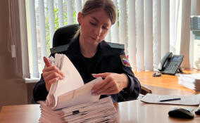 С начала года в Ленобласти приставы изъяли у должников имущество на сумму более 2 млрд рублей