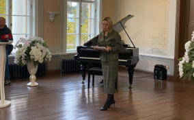 Число браков в Ленобласти выросло почти на 6 %