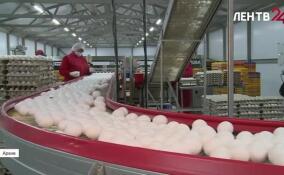 Более 20 наград от Минсельхоза России у 47-го региона. Об успехах ленинградского АПК и технологиях, которые помогают людям