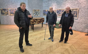 Ветераны СВО проверили на доступность музеи в Кировском районе