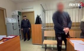 Жителя Всеволожского района, дважды ударившего ножом своего сына, отправили под стражу