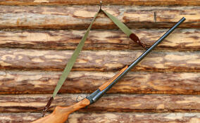 Пьяный водитель иномарки стрелял по сборщикам ягод в лесу в Тихвинском районе