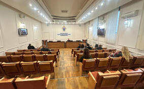 Дольщики ЖК «Лаголово» обратились на прием в СК Ленобласти