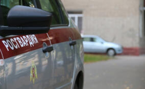 Мужчина с ножом пытался ворваться в квартиру к беременной соседке в Петербурге