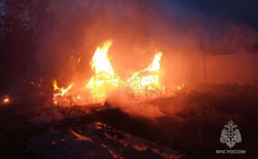 В Тосненском районе огонь уничтожил дачу