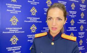 Обвиняемого в покушении на убийство в Киришах заключили под стражу