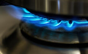 В Ленобласти могут расширить программу догазификации СНТ