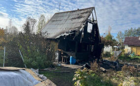 Пожар в Гатчинском районе унес жизнь женщины