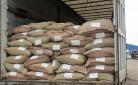 Россельхознадзор не пропустил в Ленобласть партию импортного кофе с опасным вредителем