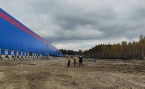 Огромную свалку ликвидировали на стройке маркетплейса в Янино