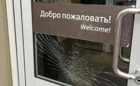 Пьяный житель Ленобласти повредил входную дверь на Финляндском вокзале