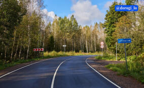 В Кингисеппском районе обновили участок дороги Копорье – Ручьи