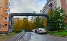 Во Всеволожске начали демонтировать теплотрассу на Александровской улице