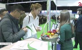 В Экспофоруме открылась агропромышленная выставка «Агрорусь»