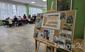 Юные участники Дня детского экологического кино сняли почти 50 работ на природоохранную тематику