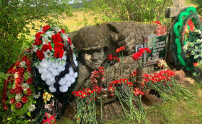 «МотоПарк Мира» стал «Лучшим патриотическим событием» по версии Russian Event Awards