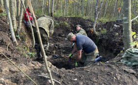 В Кировском районе нашли воронку с останками 17 советских бойцов