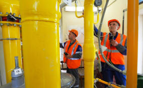 124 квартиры в Царицыном Озере перевели на сетевой газ