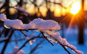 Синоптик Шувалов спрогнозировал мягкую зиму в Петербурге
