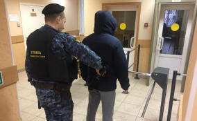 Более 4 тысяч опасных предметов нашли с начала года у посетителей судов в Ленобласти