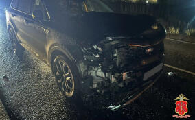 Внедорожник насмерть сбил человека на загородной трассе в Ломоносовском районе