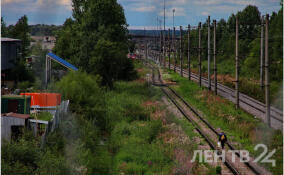 Девушка попала под поезд в Кировском районе Ленобласти