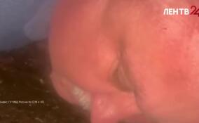 В Петербурге после получения взятки задержан директор Службы заказчика администрации Приморского района