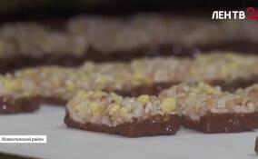 Пять конфет в секунду: как работает новая кондитерская фабрика в Янино-1