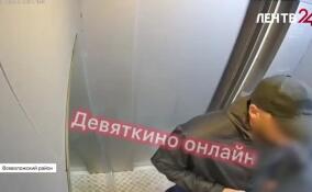 Во Всеволожском районе перед судом предстанет обвиняемый в неоднократном совершении преступлений против половой свободы