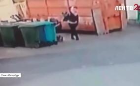 Женщина, оставившая коляску с ребенком у мусорных контейнеров в Петербурге, попала на видео