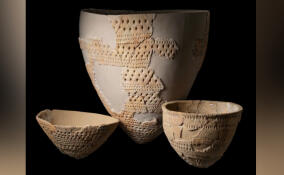 В Ленобласти обнаружено древнее неолитическое укреплённое поселение