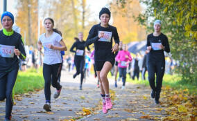 «Кросс лыжников» пройдет в Гатчине в это воскресенье