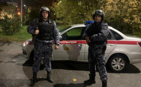 Иномарку, причастную к преступлению в Ленобласти, нашли в Петербурге