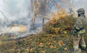 Пламя уничтожило заброшенный дом в Лавриках