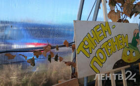 РепаФест-2025: ленинградцев приглашают стать частью осенней сказки на гатчинской земле