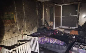 Неисправный удлинитель стал причиной пожара в Коммунаре