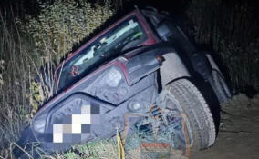 Спасатели помогли жителям Ленобласти выбраться из леса у деревни Тортолово