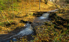 Александр Дрозденко показал красоту водопадов на реке Копорка
