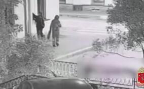 Двух жительниц Мурино задержали за рекламу «наркошопа» в Петербурге