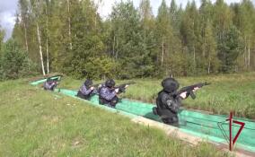 В Ленобласти росгвардейцы отработали уничтожение беспилотников